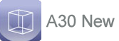 A30 New